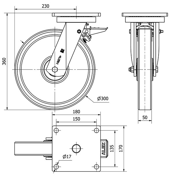 R.GIR.PLACA FRENO 10HLBFD300H-HUB HIERRO-POLIUR.NARANJA EJE BOLAS