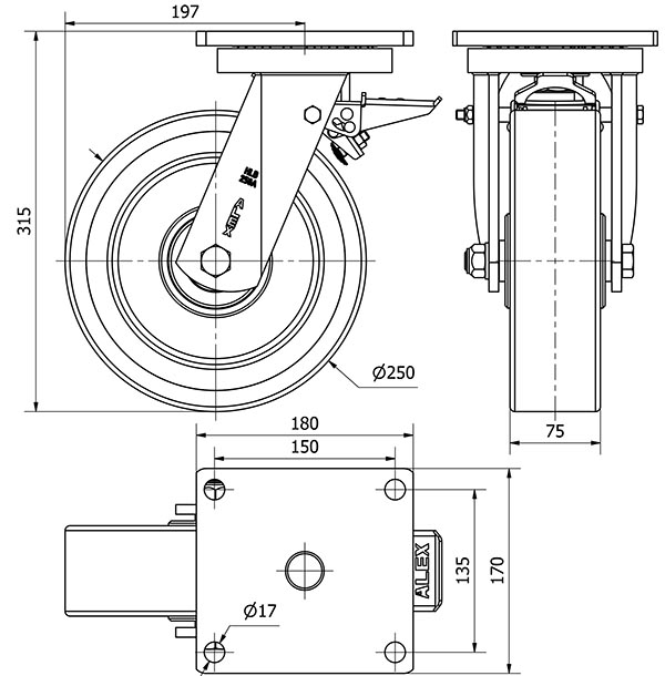 R.GIR.PLACA FRENO(ANCHA) 10HLBFD250A-HUB HIERRO-POLIUR.NARANJ.BOLAS