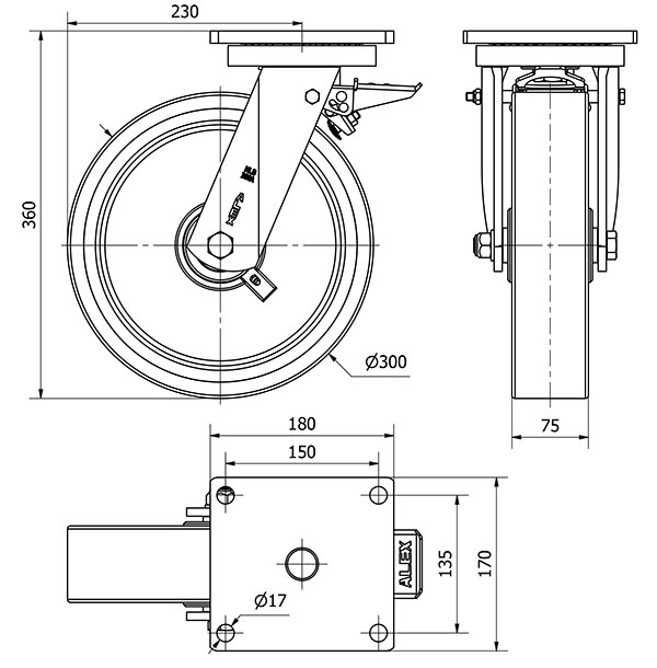 R.GIR.PLACA FRENO(ANCHA) 10HLBFD300A-HUB HIERRO-POLIUR.NARANJ.BOLAS