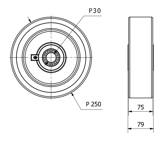 RUEDA HUB250-30-75 NUCLEO HIERRO Y BANDA POLIUR.NARANJA EJE BOLAS