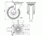 R.GIR.PLACA INOX.10ZVI160-PGZN POLIAMIX-GOMA GRIS INYECT.EJE LISO