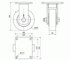 R.FIJA 17HLR250-NFB NYLON FUNDIDO EJE BOLAS