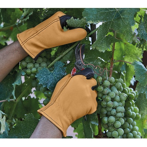 Guante Juba - H210M GARDEN