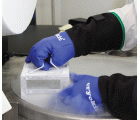 Guante Cryo - CRYOPLUS