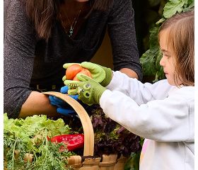 Guante Juba - H253 GARDEN