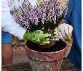 Guante Juba - H253 GARDEN