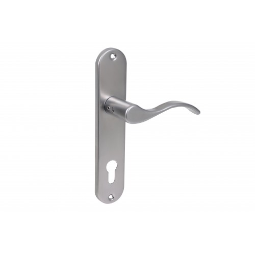 Hermes placa larga