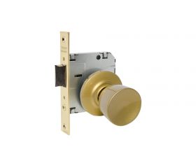 TESA 3520 50 LM TULIPA