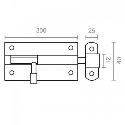 PASADOR ALUMINIO D12 PS05 300mm NE