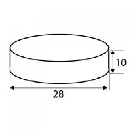 BL NEODIMIO DISCO IM28 28x10mm NI
