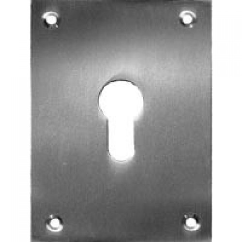 PLACA BOCALLAVE PLP02 80x80mm LS