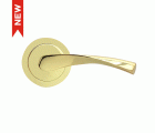 JGO ROSETA ANCHA 707 LTD