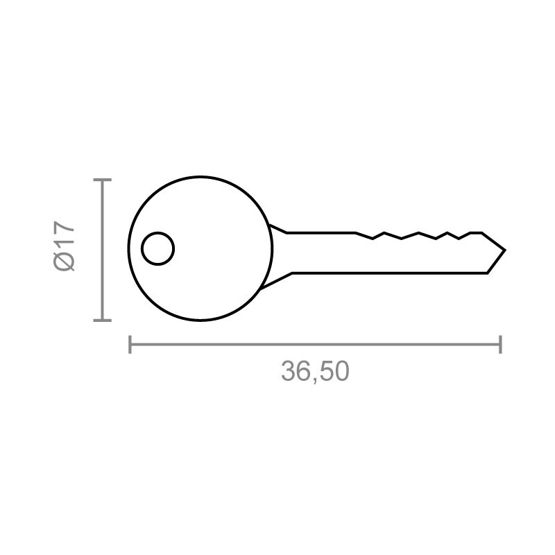 LLAVE BRUTO CANDADO CN01/CN02 20-25mm NI
