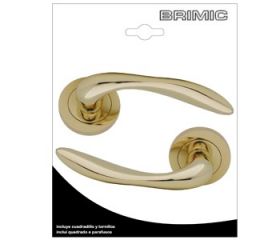 BL JGO ROSETA 484 LTD