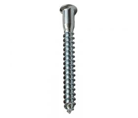 TORNILLO ENSAMBLE TNE01 5x50mm ZN