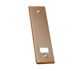 EMBELLECEDOR P/RECOGEDOR PR06 BR*