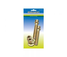 BL TORNILLO CASCABEL TRN15 9x60mm BC