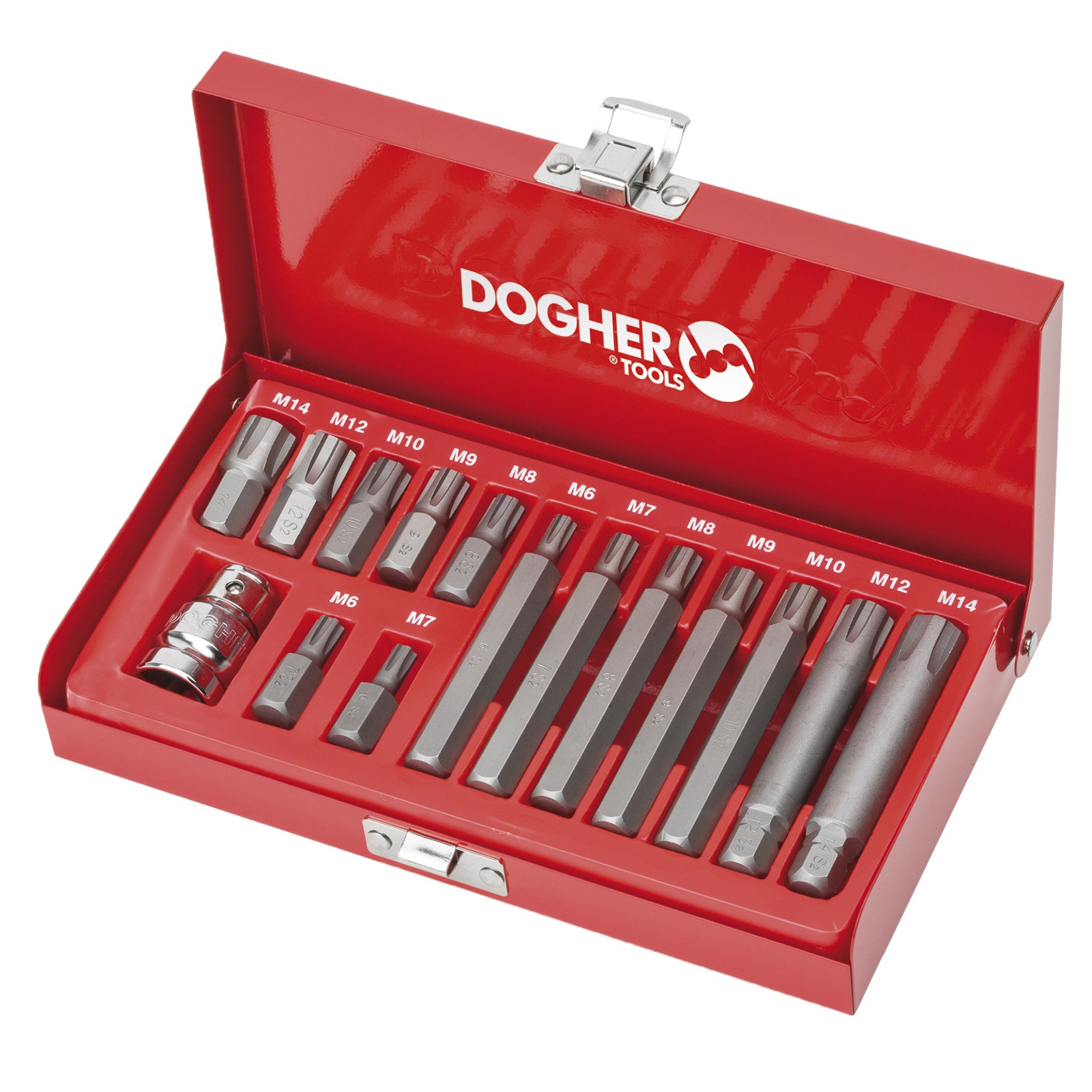 Estuche 15 Puntas de Atornillar DOGHER 10mm S2 RIBE