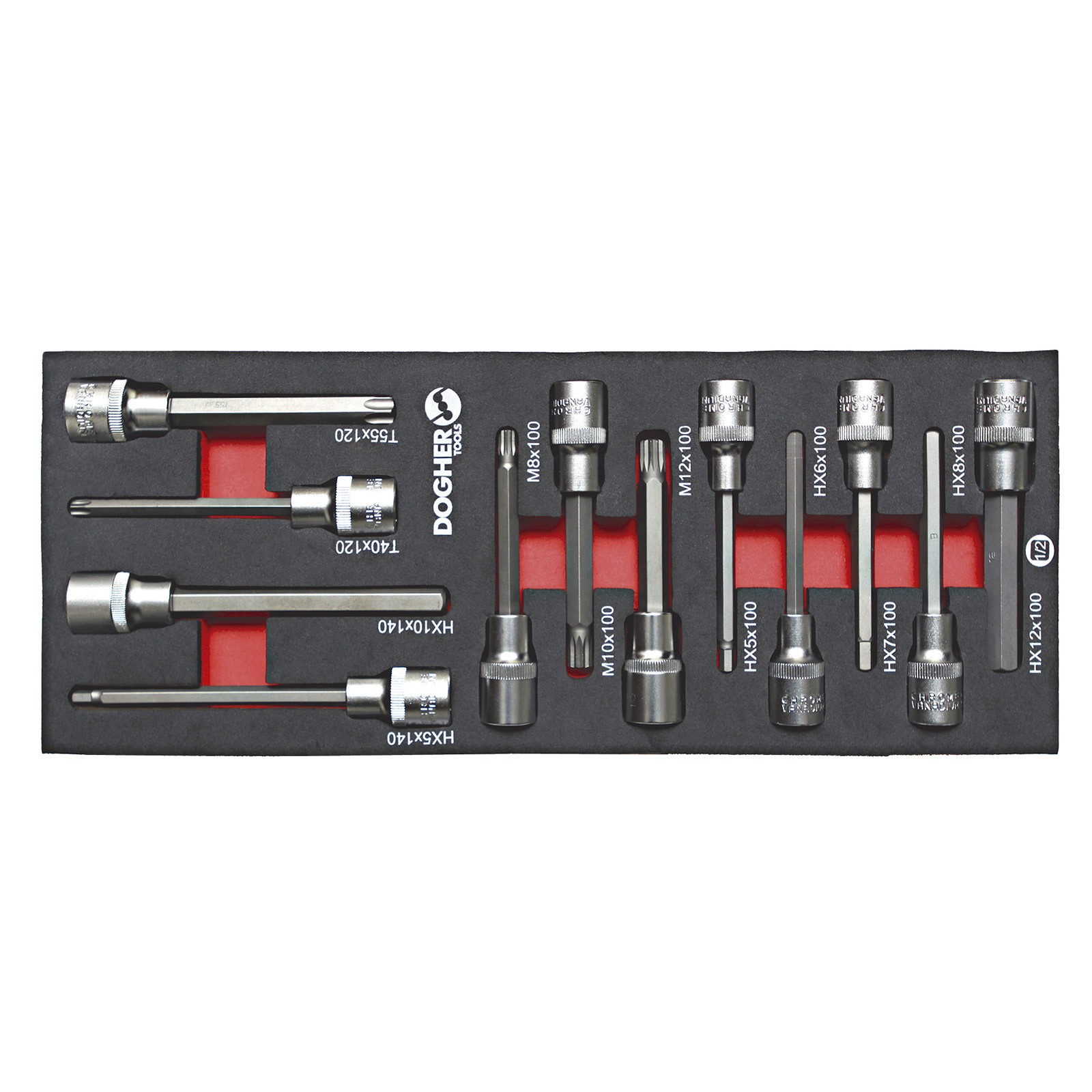 Bandeja Combinable DOGHER 1/4 - 12 Vasos con Punta 1/2 Serie Larga
