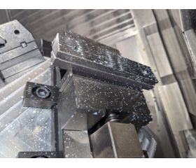 BOCAS MORDIENTES FORZA PARA SERIE 29