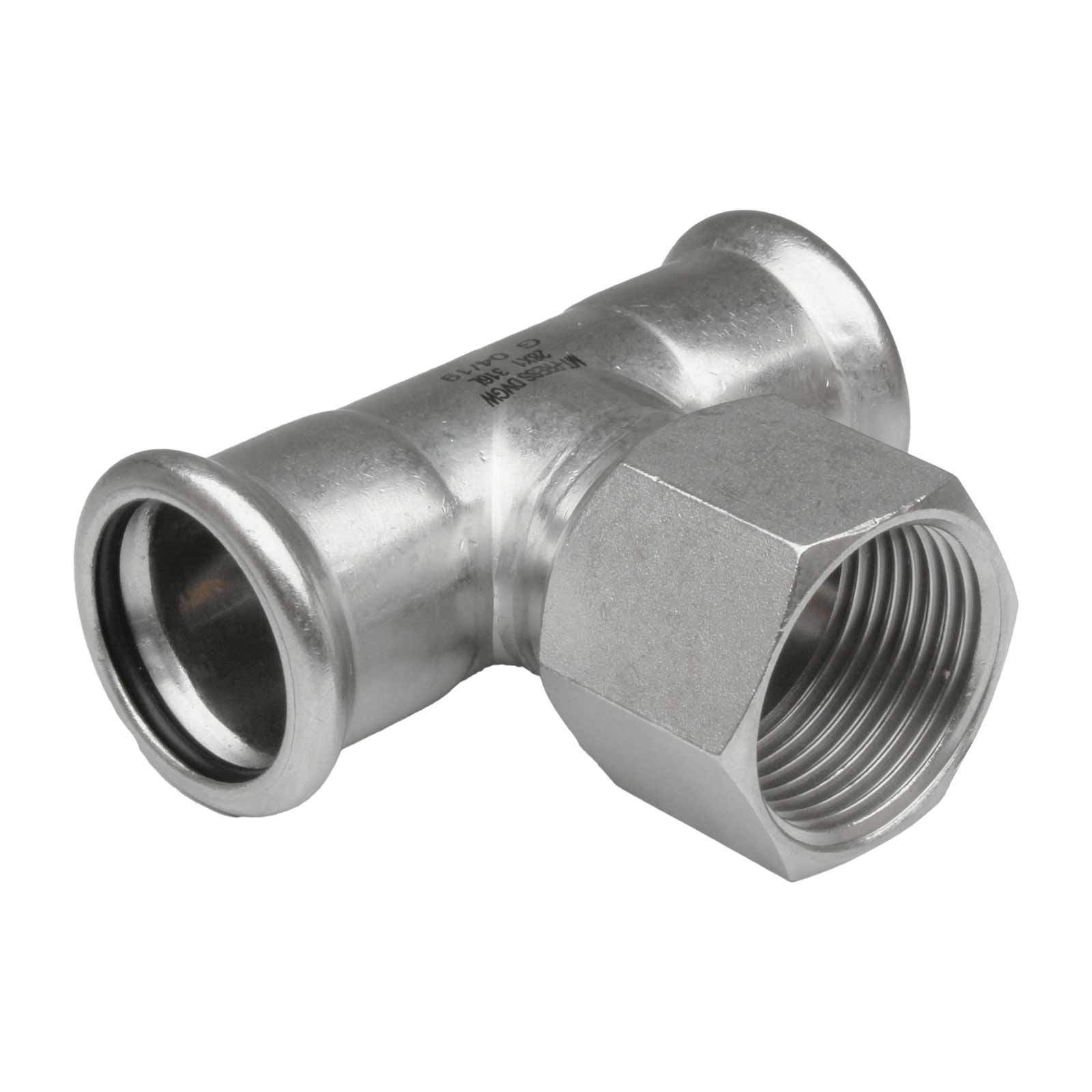 01131 Te Hembra Roscada