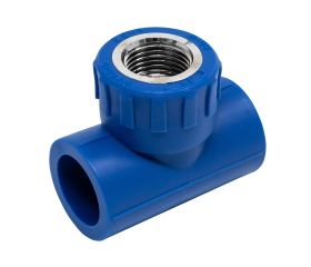 2601131 Te Hembra PPR Azul