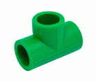 2602130 Te Igual PPR Verde