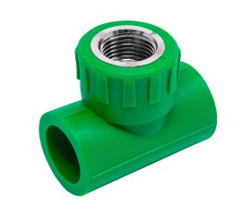 2602131 Te Hembra PPR Verde