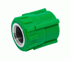2602271 Racor Recto Hembra PPR Verde