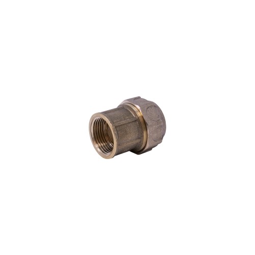 HS507 Racor Recto Hembra PE/H