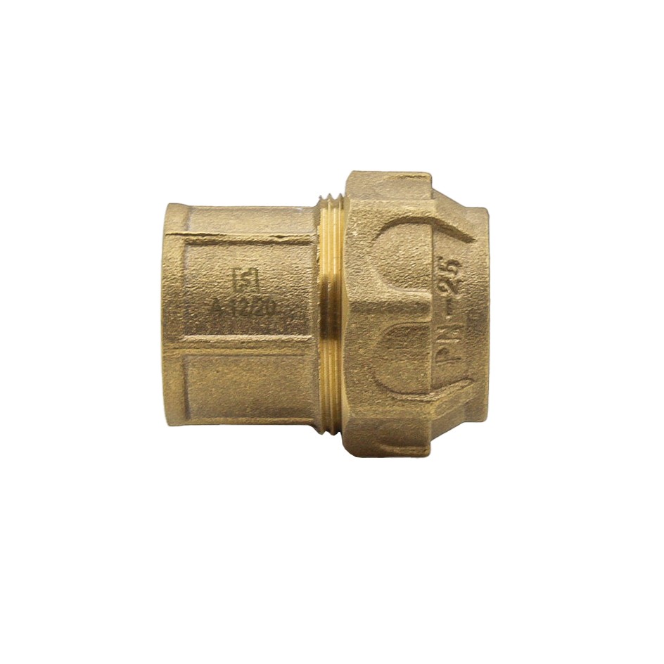 HS507 Racor Recto Hembra PE/H