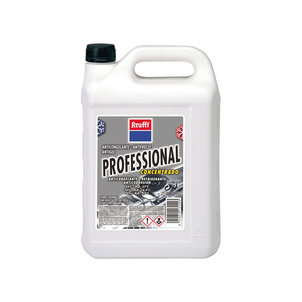 ANTIC.CONCENTRADO PROFESS.5L