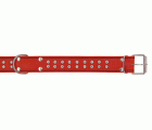COLLAR PARA PERRO ARPPE DOBLE CUERO 3x55 CARAMELO