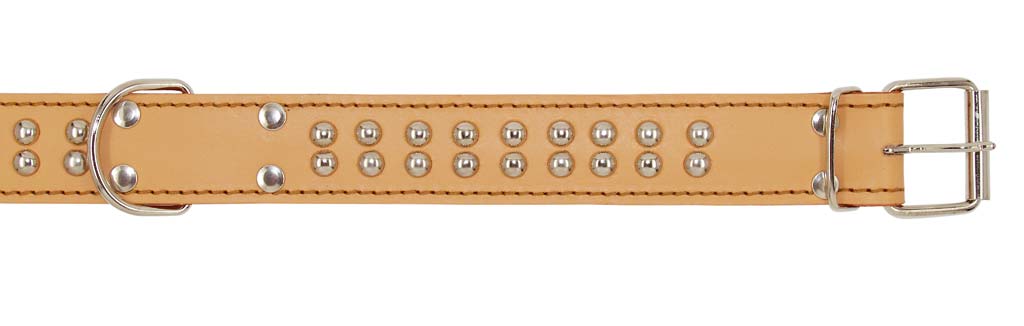 COLLAR PARA PERRO ARPPE DOBLE CUERO
