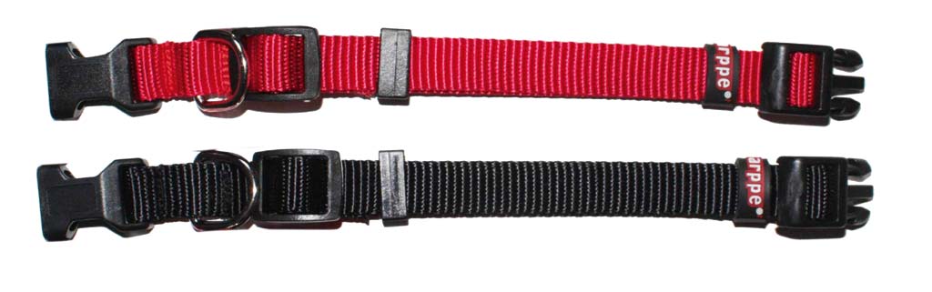 COLLAR PARA PERRO ARPPE REGULABLE NYLON