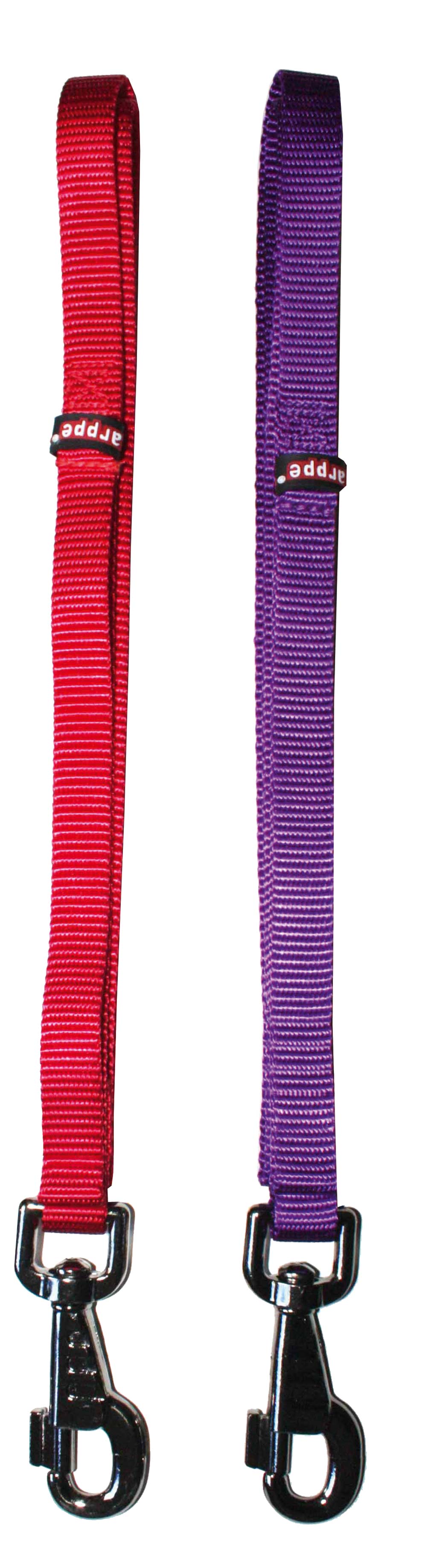 CORREA PARA PERRO ARPPE NYLON