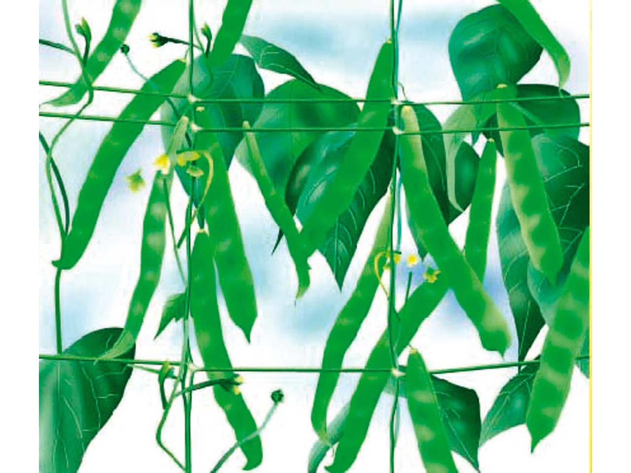 MALLA ENTUTORAR VERDE TRELLINET