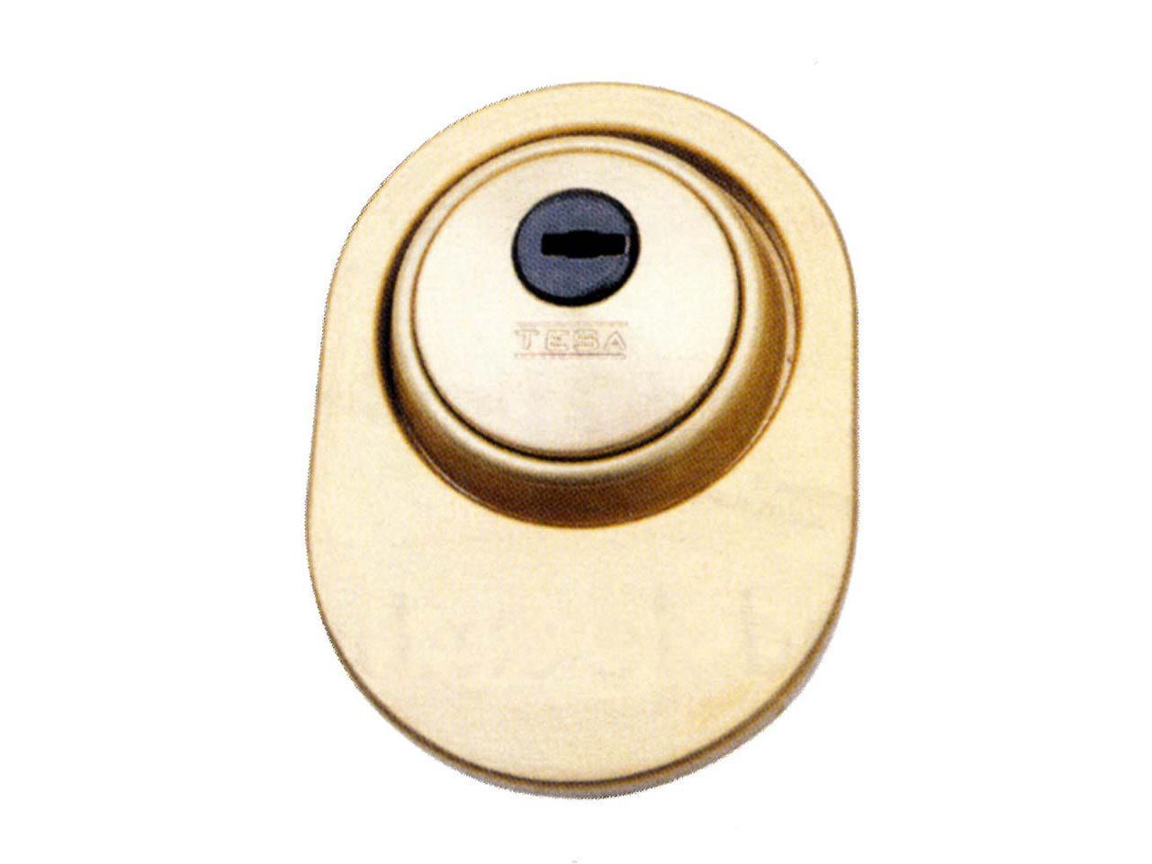 EMBELLECEDOR GUARDA LLAVE TESA EMB700