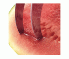 CORTADOR MELON Y SANDIA INOXIDABLE HOOL WESTMARK