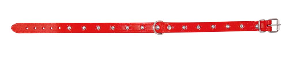 COLLAR PARA PERRO ARPPE CUERO FORADO AMAZONE