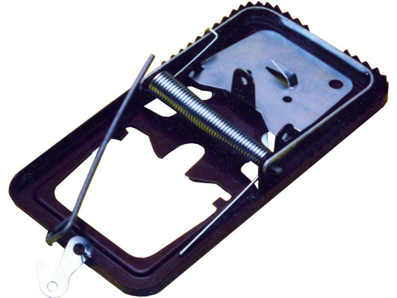 RATONERA METÁLICA PLANA