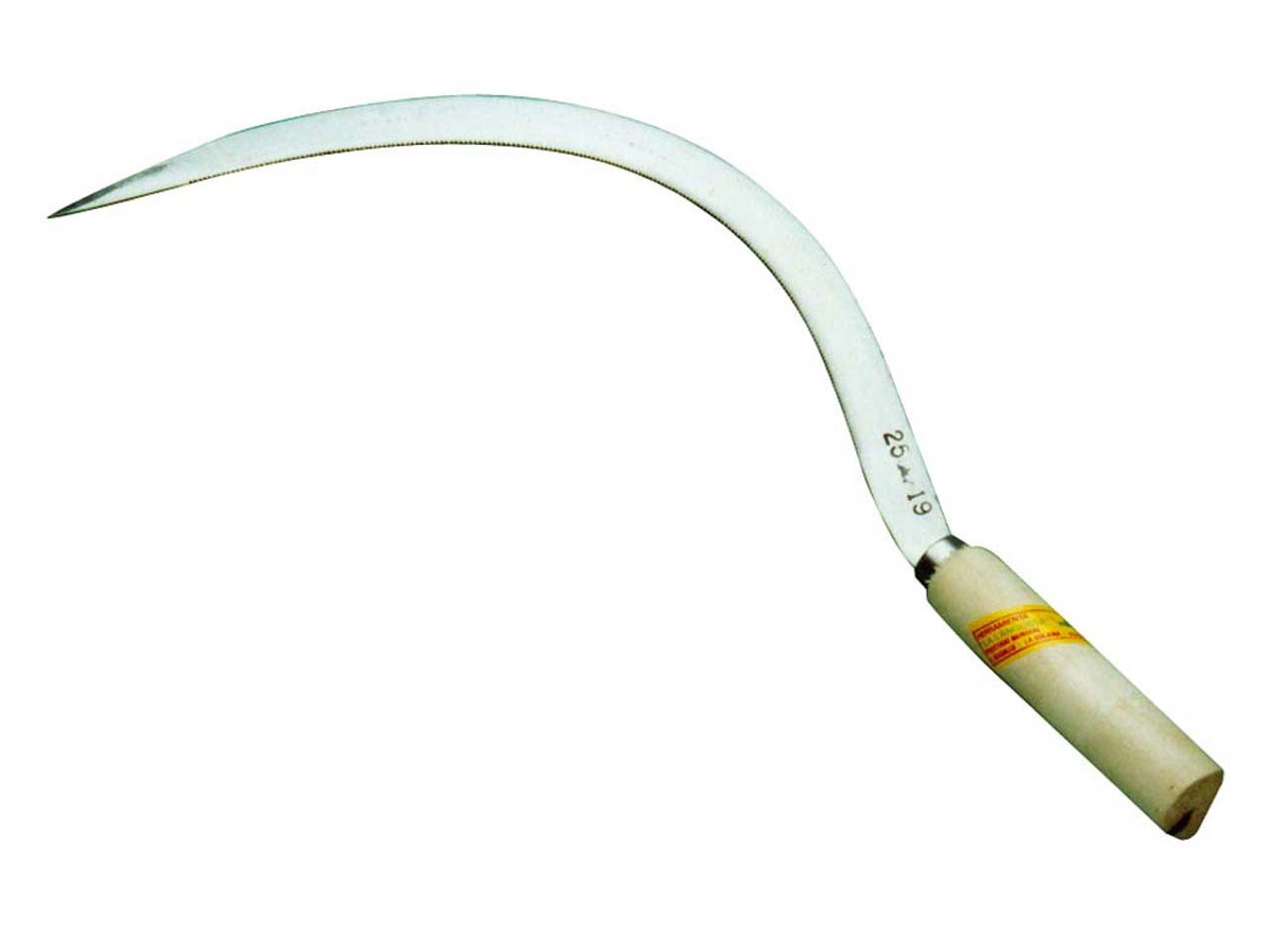 HOZ COMÚN NORTE DENTADA