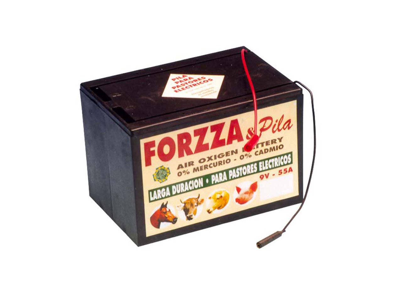 PILA FORZZA 9 V. 55 A/H