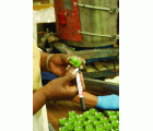 PAINT-RITER PROLINE MICRO