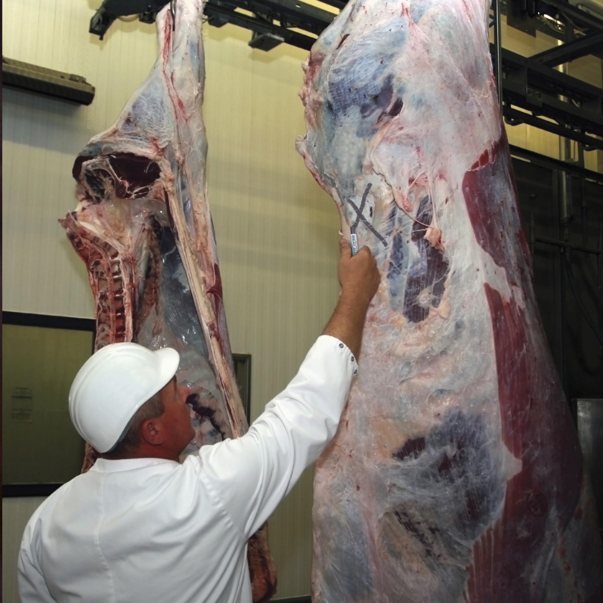 ALL WEATHER MEAT MARKER