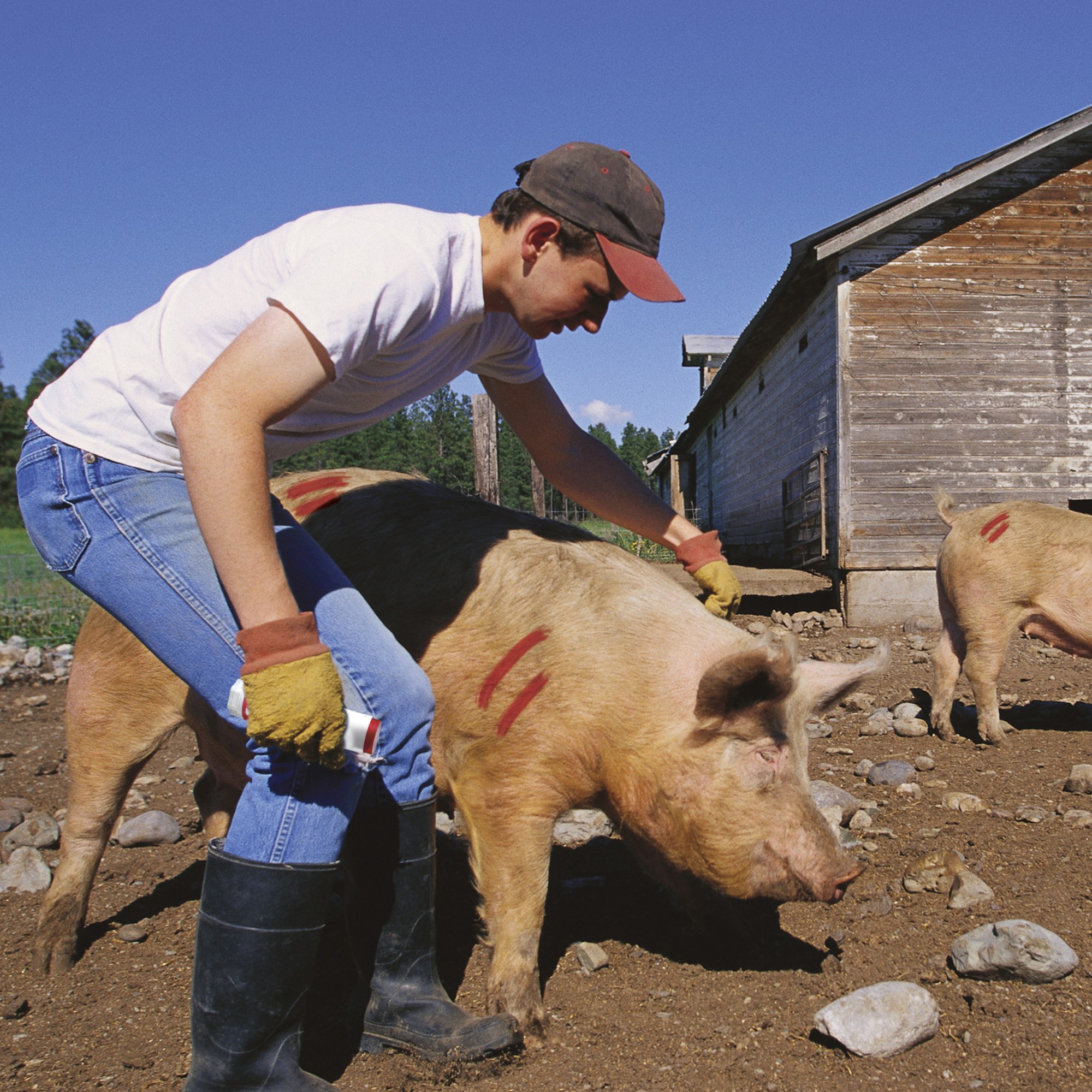 ALL WEATHER TWIST-STIK