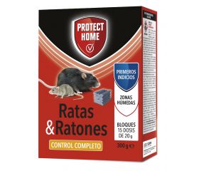 RATAS & RATONES - PRIMEROS INDICIOS BLOQUE