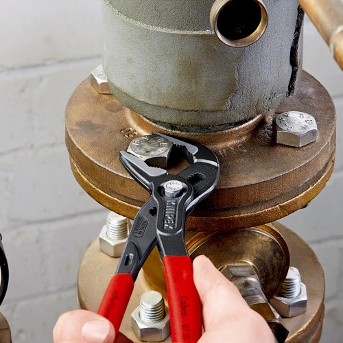 Knipex Tenaza pico loro COBRA® ES 250 mm