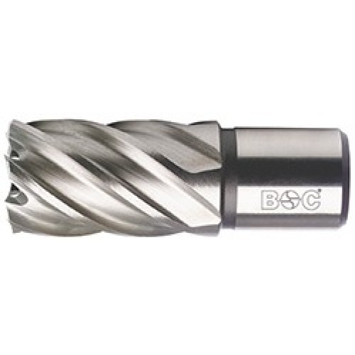 Bohrcraft Broca hueca HSS-E Co 8% Weldon//20,0 x 30 mm BC-QP