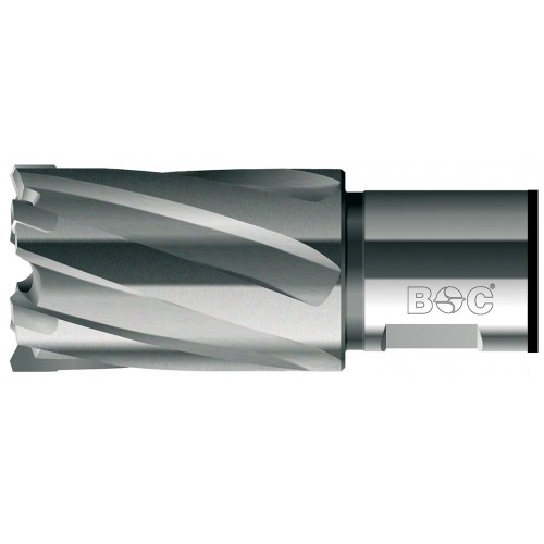 Fresas huecas Profi Plus con puntas de carburo tungsteno